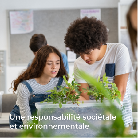 La responsabilité sociétale et environnementale